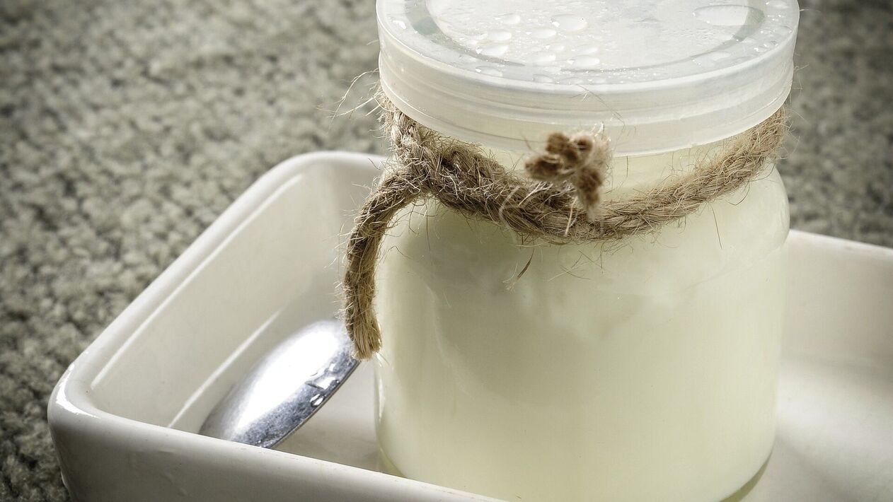 fermenteeritud piimatooted viiendal päeval